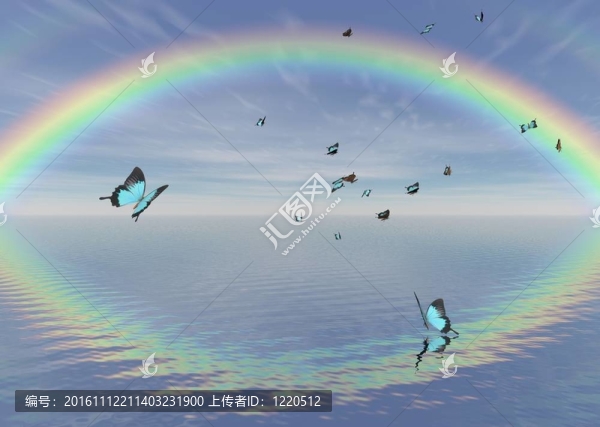 藍(lán)孔雀蝴蝶和Rainbo