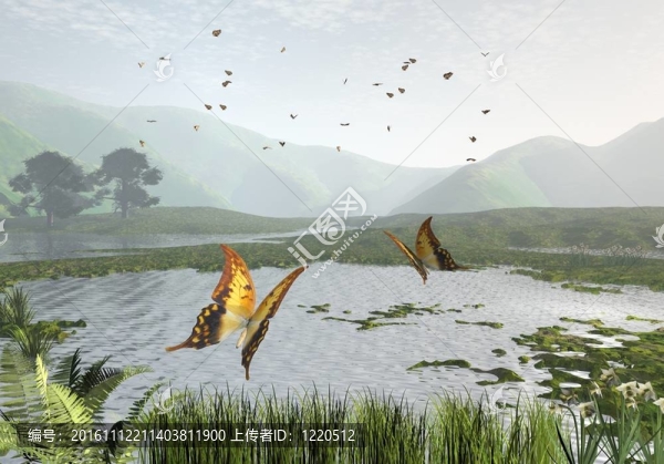 蝴蝶湖—