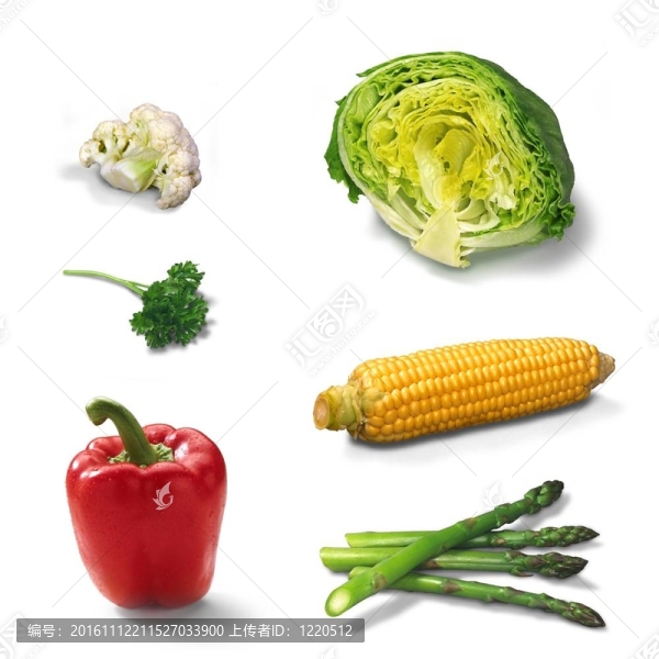 蔬菜