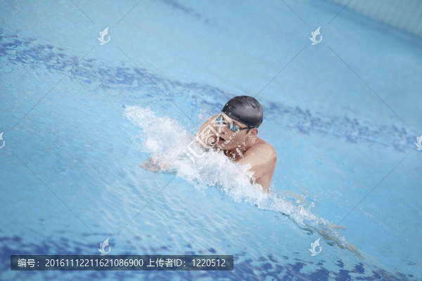 游泳池游泳池