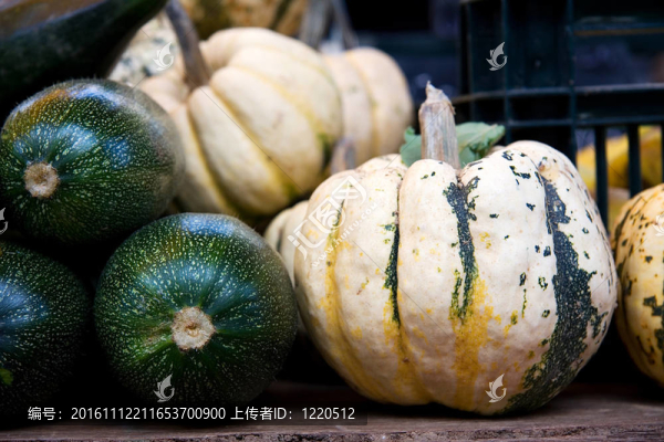 秋季蔬菜