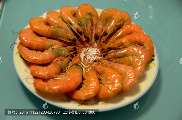 大明蝦