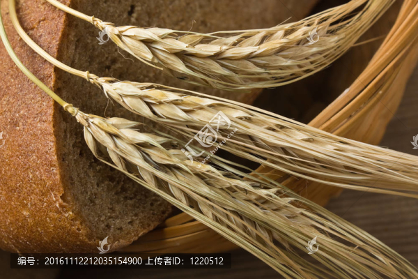 桌上的黑麥面包和玉米穗