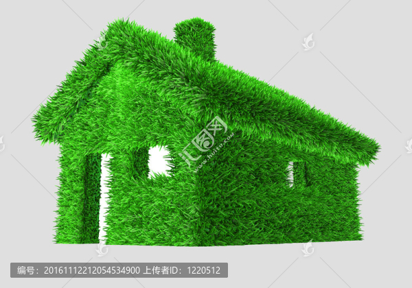 一個(gè)有草的綠色房子3D說明