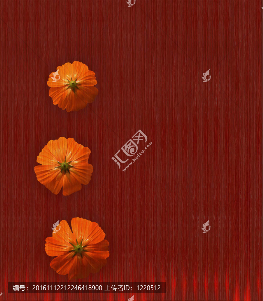 紅色的花紋理背景與文本空間