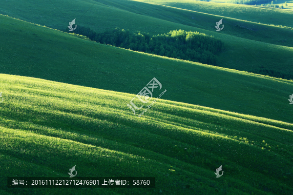 綠色山崗光影