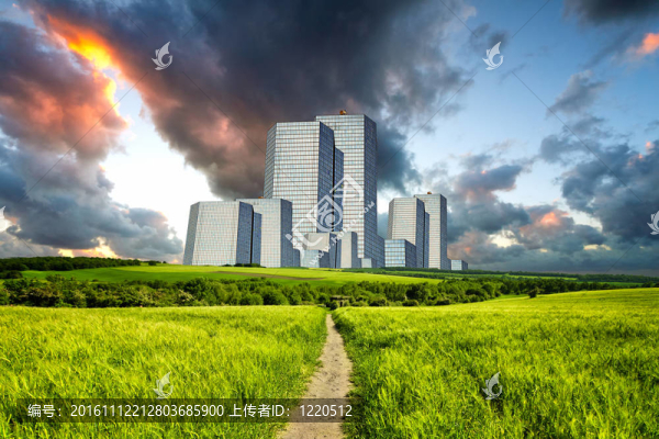 大都市