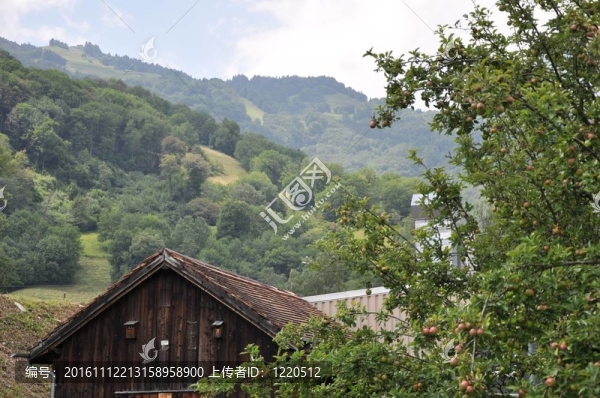 家附近的山