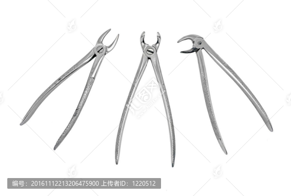 牙科鉗工具；白色背景隔離