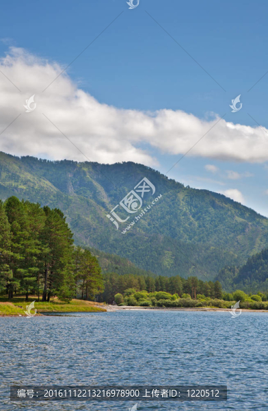 在夏季，山區(qū)河流的美景；阿爾泰山；俄羅斯