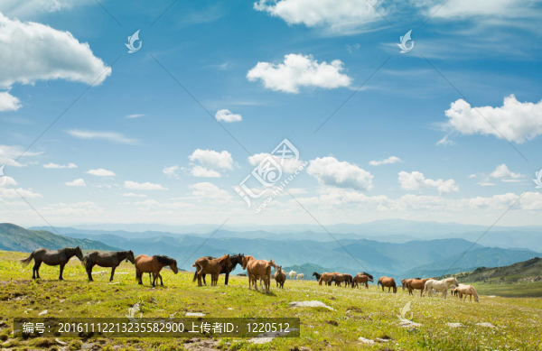 阿爾泰山。一個(gè)美麗的風(fēng)景？？？？？？？和藍(lán)色的天空。