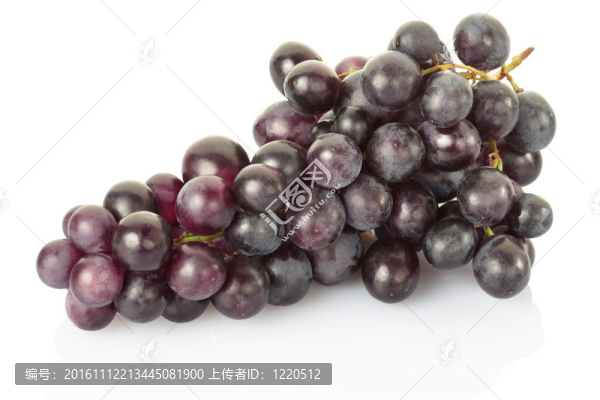紅葡萄簇分離-匯圖網(wǎng) www.fosd68.com 紅葡萄簇分離