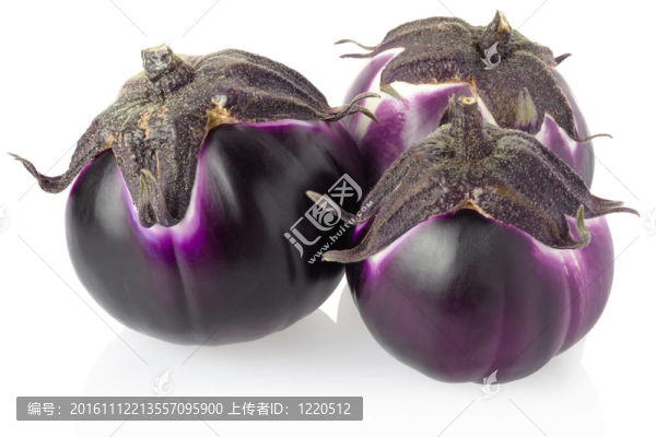茄子分離