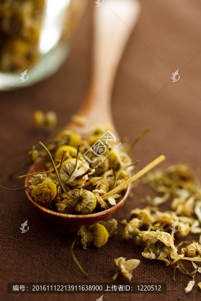干燥的洋甘菊