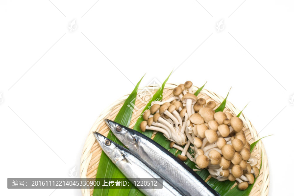 竹上的魚和蘑菇