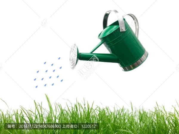 綠色的草
