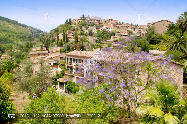 采用典型的石頭村在馬略卡tramuntana