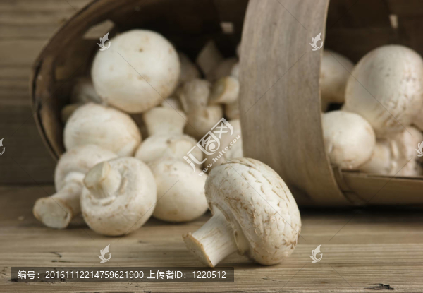 木制背景的蘑菇籃子