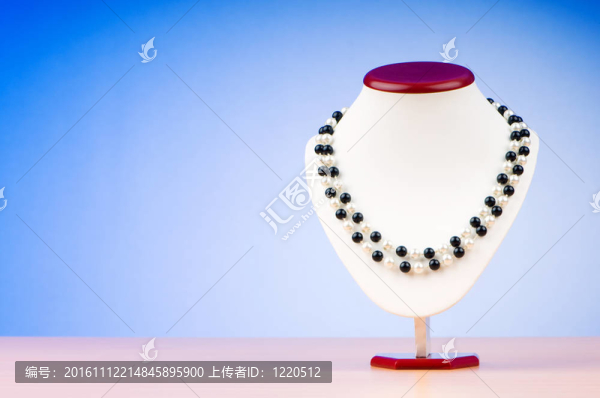 帶項鏈的時尚概念