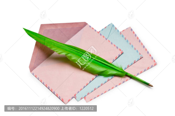 信和孤立在白色飛羽