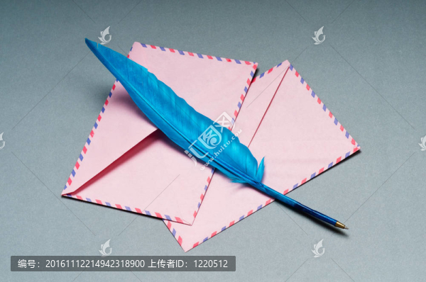 信和孤立在白色飛羽