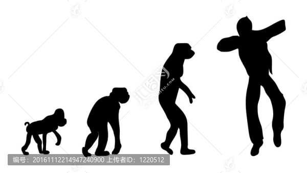 進(jìn)化-匯圖網(wǎng) www.fosd68.com 進(jìn)化