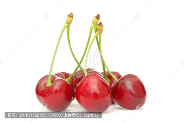 櫻桃