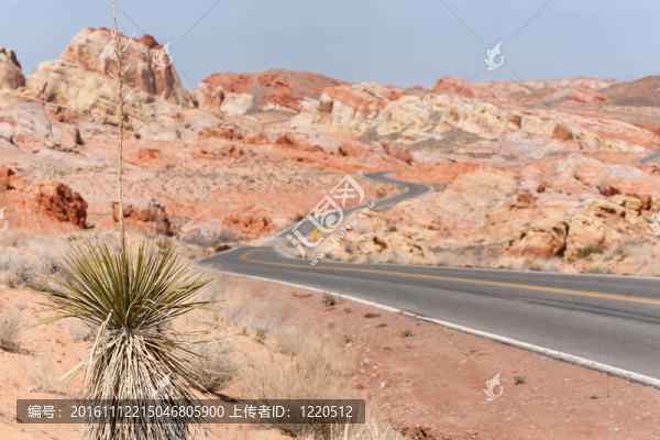 曲折的道路，內(nèi)華達(dá)州