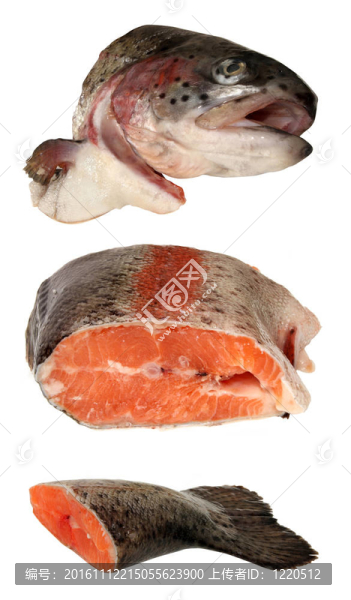 魚魚