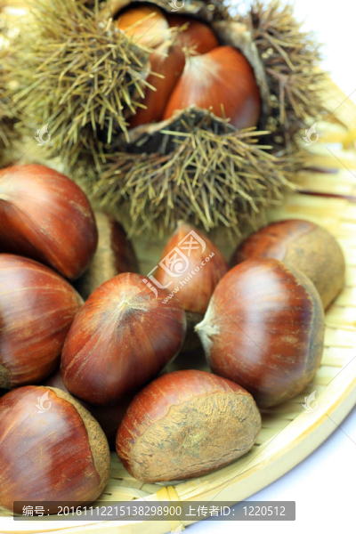 板栗