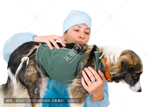 女獸醫(yī)治療