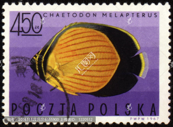 黑眼圈的蝴蝶魚(yú)（Chaetodon,melapterus）對(duì)郵票