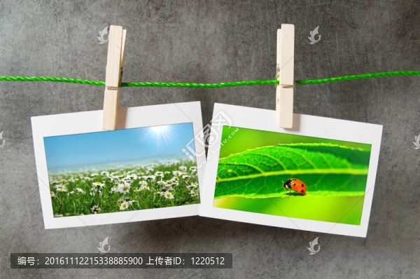 相框中的自然照片