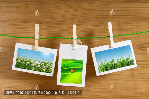 相框中的自然照片