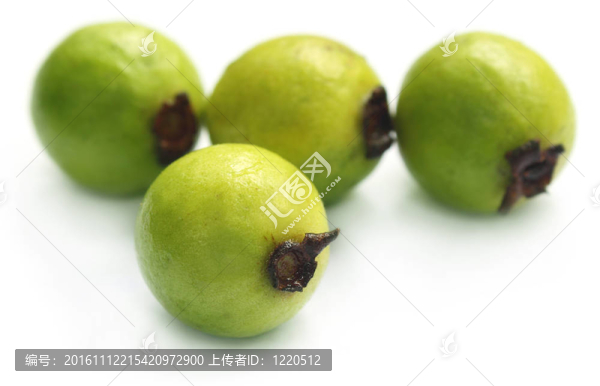新鮮的番石榴