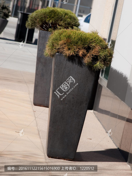 花盆-匯圖網(wǎng) www.fosd68.com 花盆