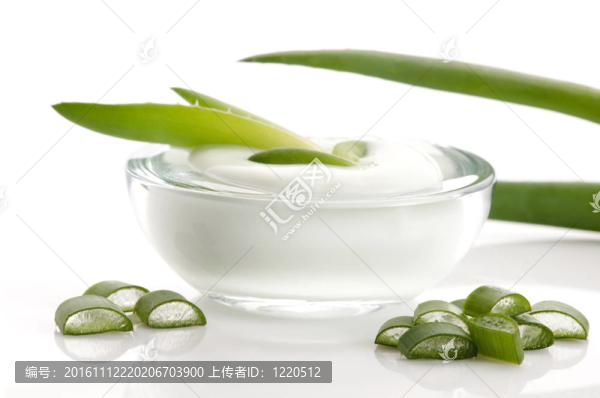 蘆薈-葉和面霜