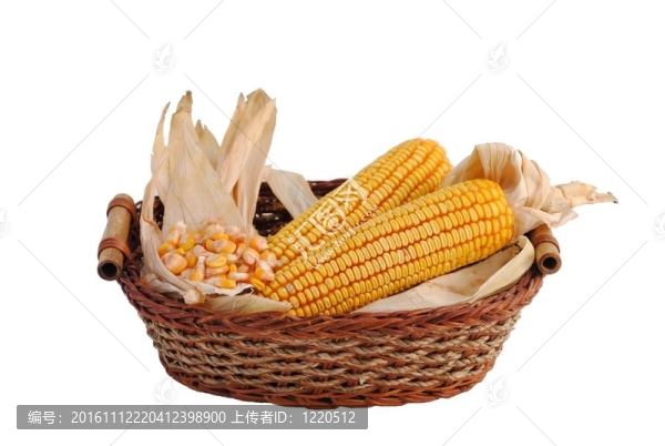 秸稈和玉米棒的籃子