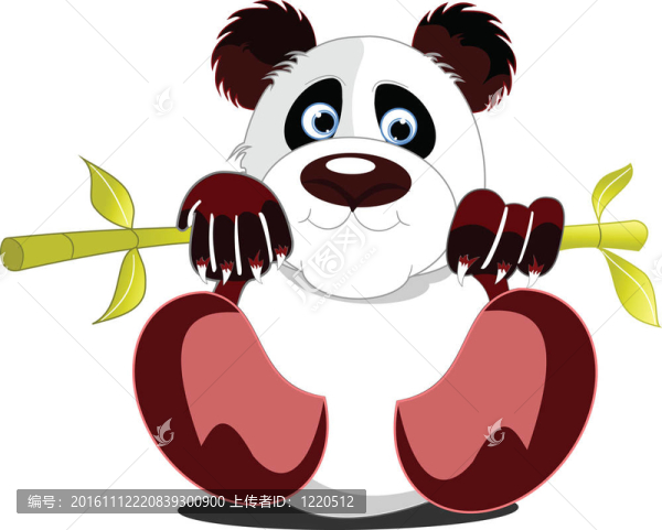 小熊貓。插圖
