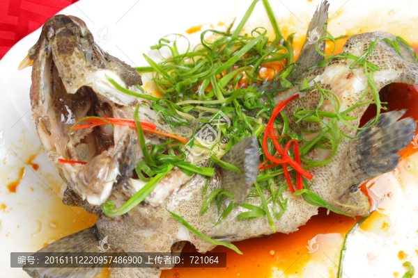 清蒸深海青斑魚,清蒸青斑魚