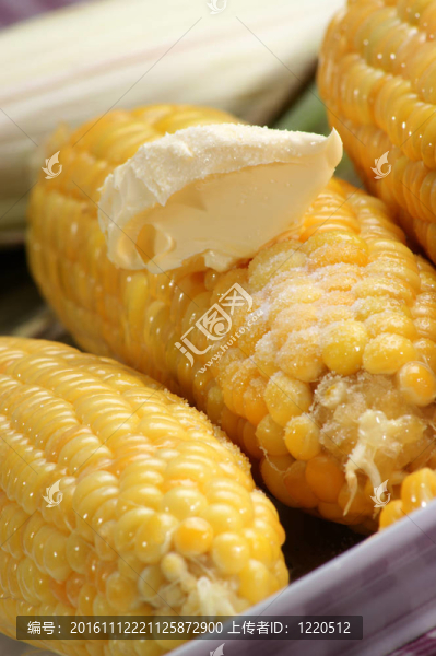 用黃油和鹽煮玉米棒