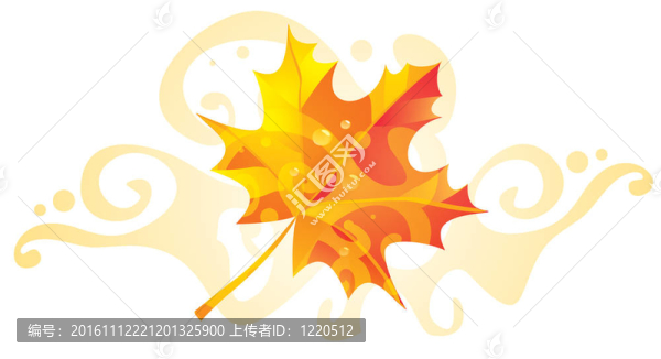 帶圖案的楓葉