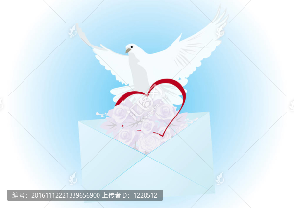 一只白鴿子和一封信