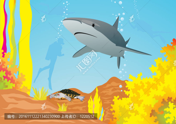 鯊魚和潛水員