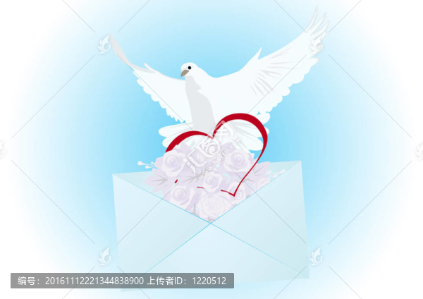 一只白鴿子和一封信