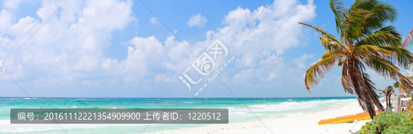 美麗的加勒比海灘