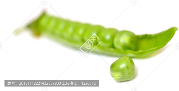 新鮮豌豆莢豌豆
