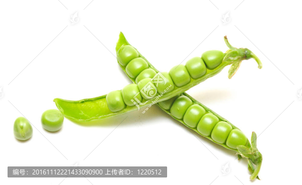 成熟的豌豆植物