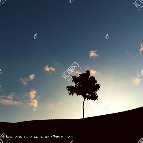 地平線上的孤獨樹