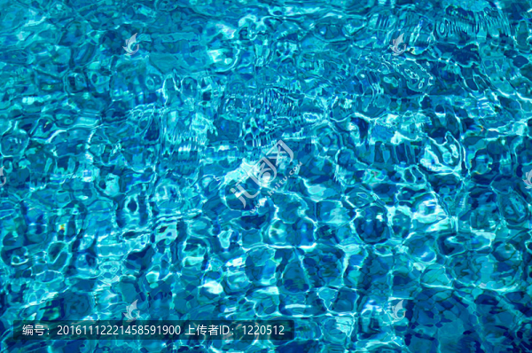 陽光中的清澈的水